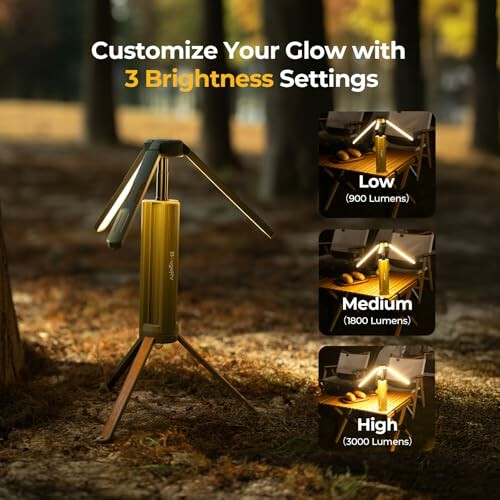 Portable lamp with three brightness settings in a forest.